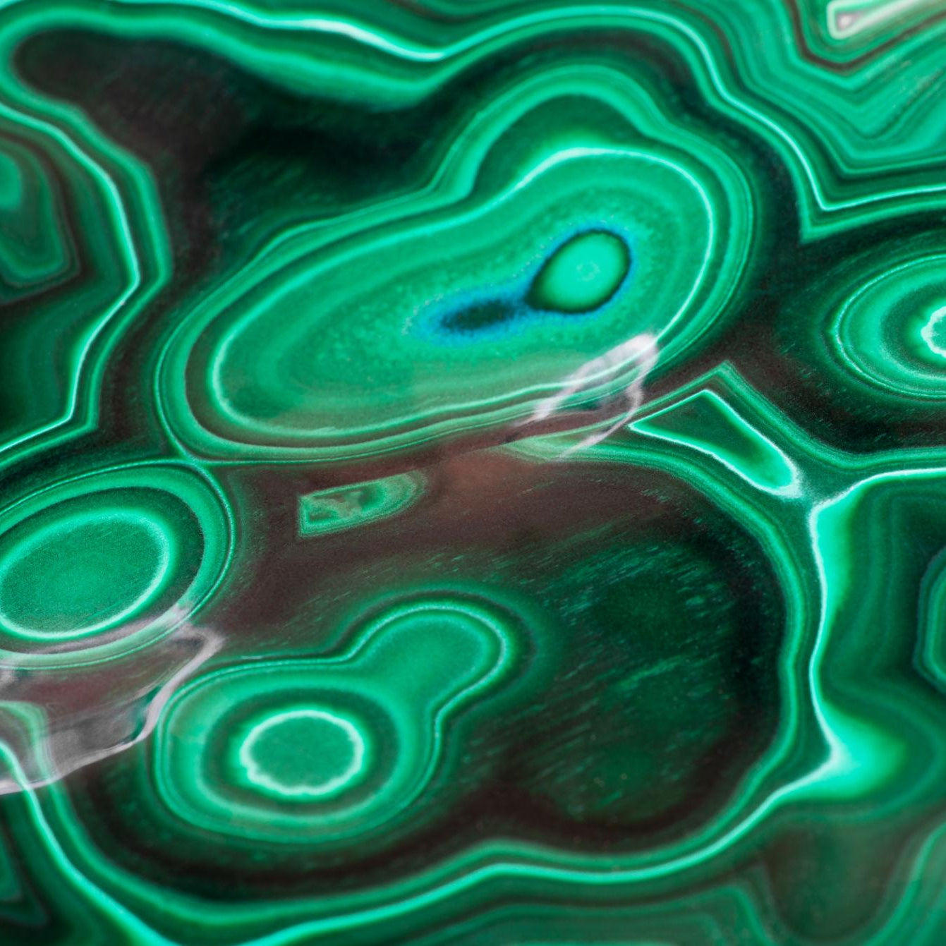 Ducwatches DW0426 - Natural Malachite Dial Limited Edition 68pcs